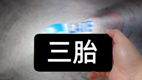 三胎概念龍頭沉睡五年終覺醒，中報預增2000%引爆市場，機構重倉布局目標劍指12連板